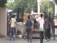 ભૂજના શહેરીજનોને રખડતા ઢોરના ત્રાસમાંથી મળશે મુક્તિ, પાલિકાએ બે દિવસમાં 550 ઢોરને ડબ્બે પૂર્યા