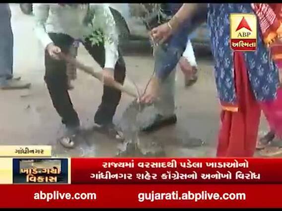 ગાંધીનગરમાં કૉંગ્રેસે રસ્તા પરના ખાડાઓમાં વૃક્ષા રોપણ કરીને કર્યો વિરોધ, જુઓ વીડિયો 