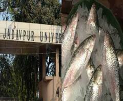 ৭টায় বাংলা (২) : যাদবপুর বিশ্ববিদ্যালয়ে করোনায় মৃত্যু অধ্যাপকের, মহালয়ার আগে রাজ্যে এল পদ্মার ইলিশ