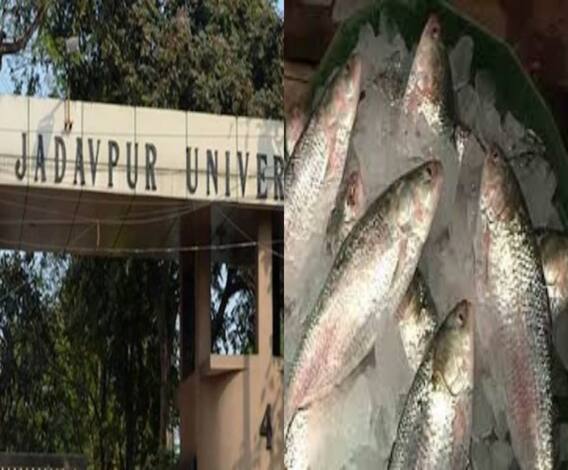 ৭টায় বাংলা (২) : যাদবপুর বিশ্ববিদ্যালয়ে করোনায় মৃত্যু অধ্যাপকের, মহালয়ার আগে রাজ্যে এল পদ্মার ইলিশ