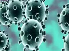 देश में नहीं थम रहे कोरोना के मामले, 36 लाख के पार हो चुकी है संक्रमितों की संख्या