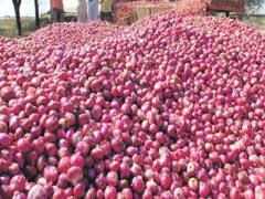 प्याज निर्यात पर प्रतिबंध से परेशान हैं Nashik के किसान