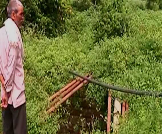 कोळसा खाणीनं ग्रामस्थांचं पाणी पळवलं? संत्र्यांसाठी प्रसिद्ध असलेल्या बोरगावात पाण्यासाठी वणवण 