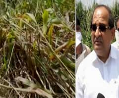 शेती जगत | शेती क्षेत्रातील घडामोडींचा वेगवान आढावा | गावागावात काय आहे शेतीची परिस्थिती? 10 सप्टेंबर 2020