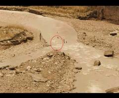 ये बच्चे खतरे से अनजान हैं...