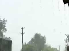 પોરબંદરના કુતિયાણામાં વરસાદ શરૂ થતા ખેડૂતોની વધી ચિંતા, જુઓ વીડિયો