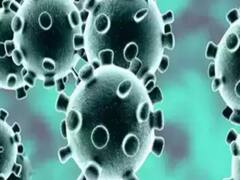 देश में लगातार बढ़ रहे कोरोना के मामले, कुल आंकड़ा 36 लाख के पार