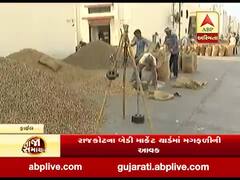 રાજકોટના બેડી માર્કેટ યાર્ડમાં મગફળીની આવક થઇ, જાણો શું મળી રહ્યો છે ભાવ?