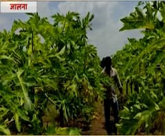 शेती जगत | शेती क्षेत्रातील घडामोडींचा वेगवान आढावा | काय आहे शेतीची परिस्थिती?