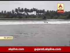 ગીર સોમનાથના ઉનાની મચ્છુંદ્રી નદીમાં ડૂબતા વૃદ્ધનું મોત, જુઓ વીડિયો