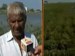 માંગરોળના સરમા ગામના ખેતરોમાં હજુ પણ પાણી પાણી, ખેડૂતોએ જણાવી આપવીતી, જુઓ વીડિયો 