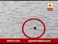 વલસાડના સેલવાસની દમણગંગા નદીના પૂલ પરથી મહિલાની મોતની છલાંગ, જુઓ વીડિયો