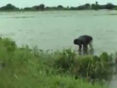 ખેડૂતોના પાક વિમાના વિગતોની રેકોર્ડમાં ચેડા મુદ્દે થયેલો વિવાદનો મામલો કોર્ટમાં પહોંચ્યો, જુઓ વીડિયો