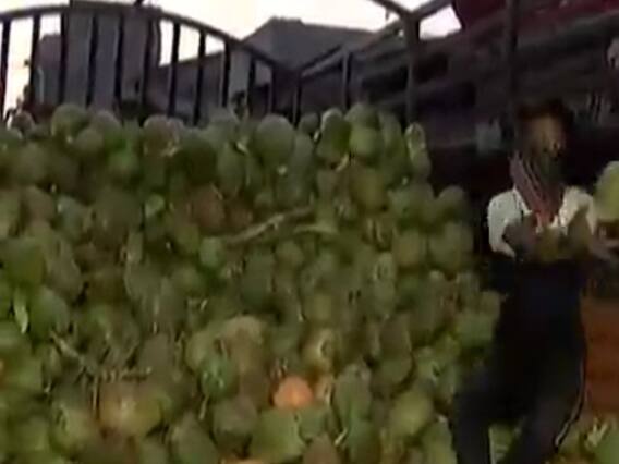 અમદાવાદ: લીલા નાળિયેરના ભાવમાં થયો વધારો, જુઓ વીડિયો