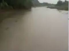 અમરેલીમાં ક્યાં ક્યાં પડ્યો ધોધમાર વરસાદ? જુઓ વીડિયો