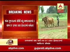 રાજ્યમાં આ વર્ષે 99.51 ટકા હેક્ટરમાં વાવેતર પૂર્ણ કરાયું, જુઓ વીડિયો 