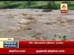 ગીર સોમનાથઃ ઉના અને ગીરના જંગલમાં ધોધમાર વરસાદ, જુઓ વીડિયો 