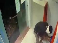 સુરતના ઓલપાડના ટકારમાં ડિસ્ટ્રીક્ટ કો. બેંકના ATMમાં ચોરીની ઘટના, જુઓ વીડિયો