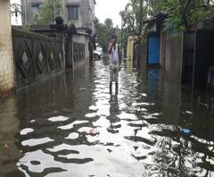 হাইড্রেন ভেঙে জলের তোড়ে ধসে গেল বাড়ি! রাতভর বৃষ্টিতে জলমগ্ন শিলিগুড়ি