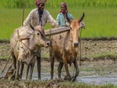 Farm Bill के समर्थन में Dushyant Chautala, कहा- MSP पर कोई संकट आया तो मैं अपना पद छोड़ दूंगा