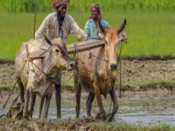Farm Bill के समर्थन में Dushyant Chautala, कहा- MSP पर कोई संकट आया तो मैं अपना पद छोड़ दूंगा