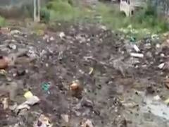 રાજકોટના ઉપલેટાના મોટી પાનેલી ગામમાં પ્રાથમિક સુવિધાના અભાવે મહિલાઓએ કર્યો વિરોધ