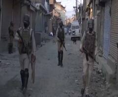 Srinagar Encounter | जम्मू काश्मीरच्या बटमालूत सुरक्षा दलाकडून तीन दहशतवाद्यांचा खात्मा