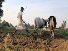 What is 'middle class connection' of Farmers bills? 