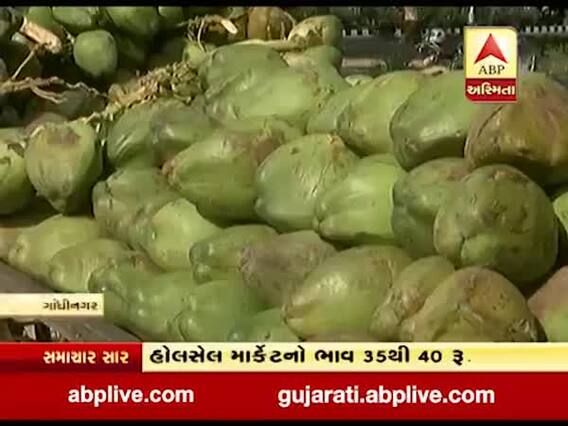 ગાંધીનગર: કોરોના કાળમાં લીલા નાળિયેરની માંગ વધતા ભાવમાં થયો વધારો, જુઓ વીડિયો 