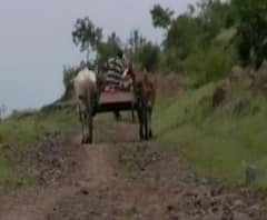 Hanuman Wadi, Beed | स्वातंत्र्याच्या 70 वर्षानंतरही बीड जिल्ह्यातील हनुमानवाडीला पक्का रस्ता नाही