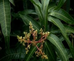 शेती जगत | शेती क्षेत्रातील घडामोडींचा वेगवान आढावा | गावागावात काय आहे शेतीची परिस्थिती? 23सप्टेंबर