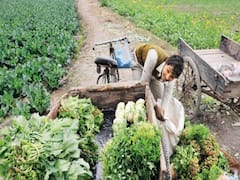 Master Stroke From Leh: DRDO's research institute grows vegetables for Indian army