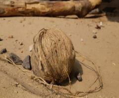 দেগঙ্গায় তৃণমূলের গোষ্ঠীদ্বন্দ্বে বোমাবাজি, রঘুনাথপুরে পথ দুর্ঘটনায় মৃত ২, দেখুন 'এক ঝলকে' 