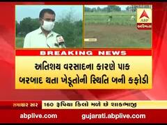 અતિશય વરસાદના કારણે પાક બરબાદ થતા ખેડૂતોની સ્થિતિ બની કફોડી