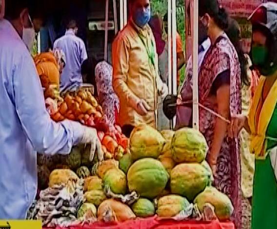 Special Report | शेतातला भाजीपाला थेट ग्राहकांपर्यंत, पुण्यातील उच्चशिक्षित तरुणांकडून कंपनीची स्थापना