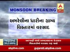 અમરેલીના ધારીના ગ્રામ્ય વિસ્તારમાં વરસાદ, જુઓ વીડિયો