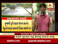 પાક નુકસાનીનો સર્વે કરી સહાય આપવાની સરકારની જાહેરાતને લઈ રાજકોટના ખેડૂતો શું કહી રહ્યાં છે ? જુઓ વીડિયો 