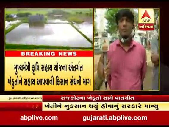 પાક નુકસાનીનો સર્વે કરી સહાય આપવાની સરકારની જાહેરાતને લઈ રાજકોટના ખેડૂતો શું કહી રહ્યાં છે ? જુઓ વીડિયો 