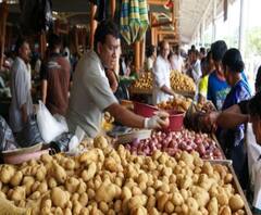 ‘যাদের আলু আছে, তাঁরাই দাম বাড়াচ্ছে’, মূল্যবৃদ্ধি নিয়ে মজুতদারদের তোপ, হিমঘরে অভিযানে প্রশাসন 