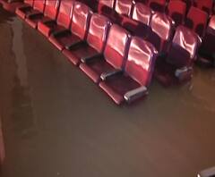 Mumbai Rains | मुंबईत पावसाचं धुमशान, दादरच्या दामोदर हॉल नाट्यगृहात पाणी साचलं