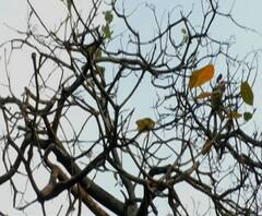 शेती जगत | शेती क्षेत्रातील घडामोडींचा वेगवान आढावा | गावागावात काय आहे शेतीची परिस्थिती?