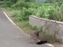 અરવલ્લીના દેવનીમોરીથી વાઘપુર તરફ જતા રસ્તામાં ભૂવો પડ્યો, જુઓ વીડિયો