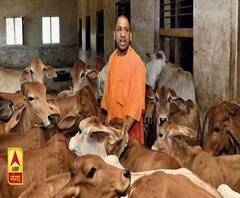 Yogi सरकार कुपोषित बच्चों के अभिभावकों को देगी गाय | ABP Ganga