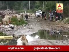 પાલનપુર નગરપાલિકાની ડમ્પિંગ સાઈટ પર સરકારના સ્વસ્છતા અભિયાનનો ફિયાસ્કો, જુઓ વીડિયો