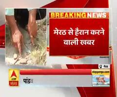 यूपी में कहां मिले प्राचीन मृदभांड और हड्डियों के अवशेष? Meerut News