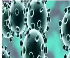 দেশে করোনা আক্রান্ত ছাড়াল ৫৩ লক্ষ, ৪৪ দিন সংক্রমণের নিরিখে শীর্ষে ভারত 