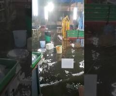 Mumbai Rain Update | नायर रुग्णालयाच्या ओपीडीमध्ये पाणीच पाणी