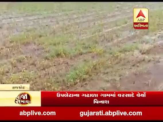 રાજકોટના ઉપલેટાના ગઢાળા ગામના ખેડૂતોએ ત્રણ-ત્રણ વખત કરેલું વાવેતર નિષ્ફળ
