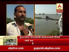 જૂનાગઢના માંગરોળ તાલુકામાં મૂશળધાર વરસાદના કારણે ખેડૂતો થયા પાયમાલ, જુઓ વીડિયો