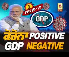 ਭਾਰਤ ਦੀ GDP ਡਿੱਗਣ ਦੇ ਕੀ ਕਾਰਨ ਬਣੇ ?